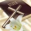 Bereavement